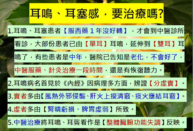 什麼是登革熱，高齡社會?