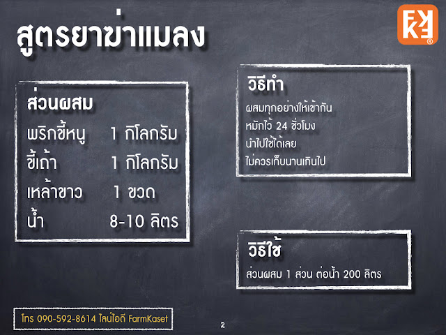 สูตร ผสมยาฆ่าแมลง จากผักสวนครัว