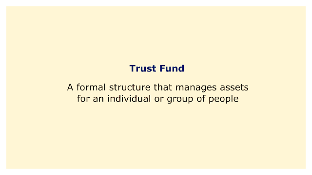 A formal structure that manages assets for an individual or group of people.
