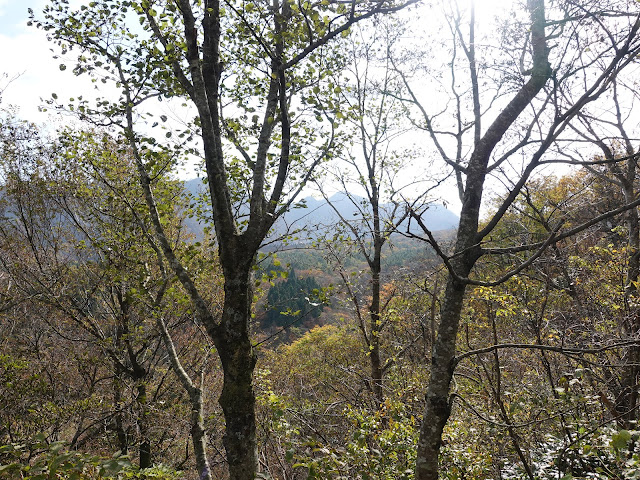 大山の香取の山道からの眺望