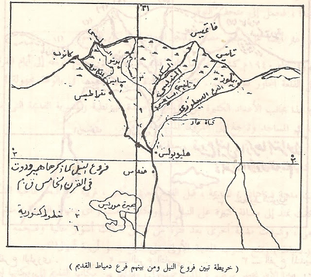 خريطة تبين فروع النيل