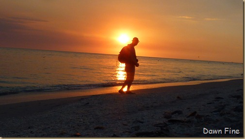 Beach walks sanibel_192