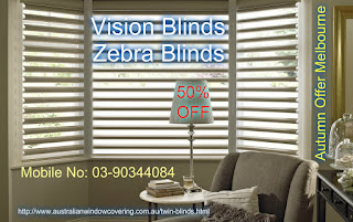 zebra blinds