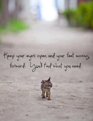 Keep your eyes open and your feet moving forward. You'll find what you need. 