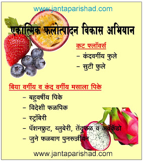 Integrated Horticulture Development Mission - एकात्मिक फलोत्पादन विकास अभियान - ekatmik falotpadan vikas abhiyan