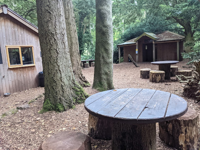 The Best Adventure Playground in the Lake District (Lowther Castle) - cafe and toilets