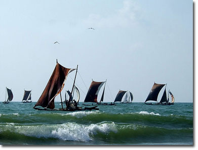 Boats Near Negombo Beach, Sri Lanka