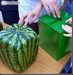 2006102711054418