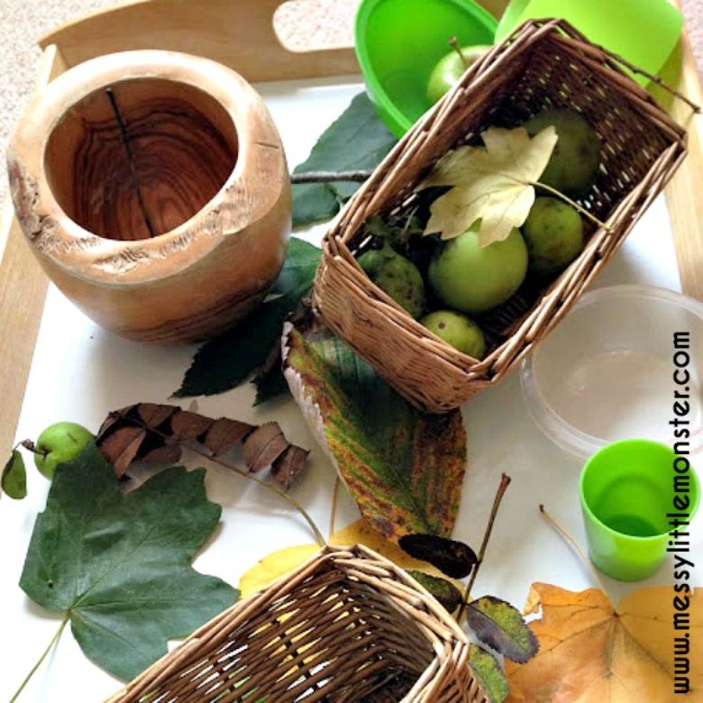 Nature tray - outdoor learning forest school activities