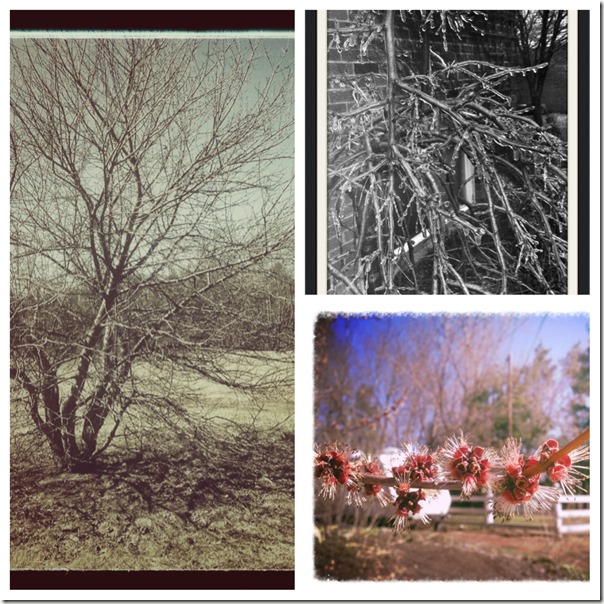 picstitch