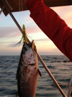 Jim holding up the tuna we caught on the way to Fort Pierce