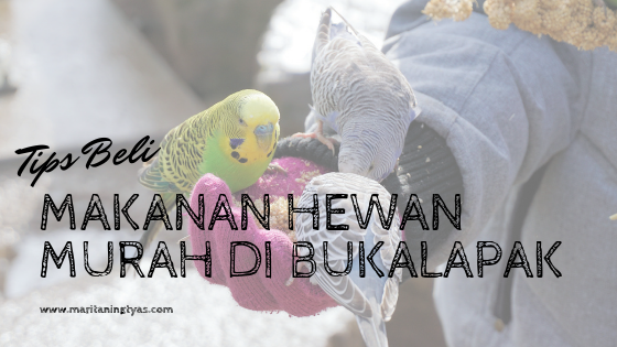 tips beli makanan hewan murah di bukalapak