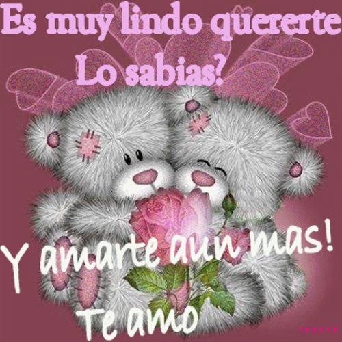 imagenes de amor con frases. de amor con frases