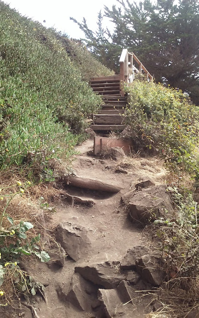 Ragged Point Trail