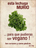 ¿Por qué el debate Carnívoros Vs Veganos está mal planteado?