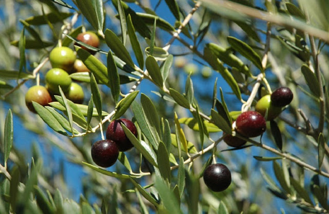 Τα πρώτα σημάδια