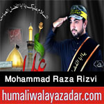 http://www.humaliwalayazadar.com/2016/09/syed-mohammad-raza-rizvi-nohay-2017.html