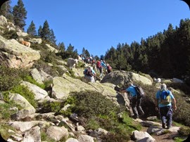 IMG_7020