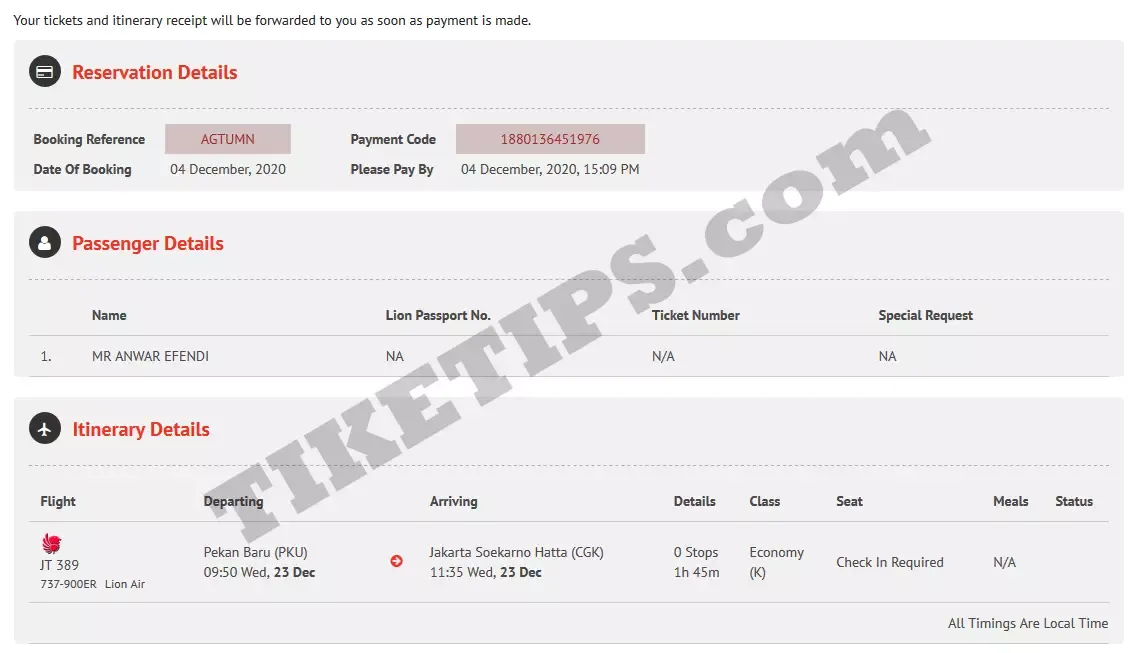 Hasil booking tiket lion air