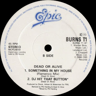 Something In My House (Flamenco Mix) - Dead or Alive http://80smusicremixes.blogspot.co.uk