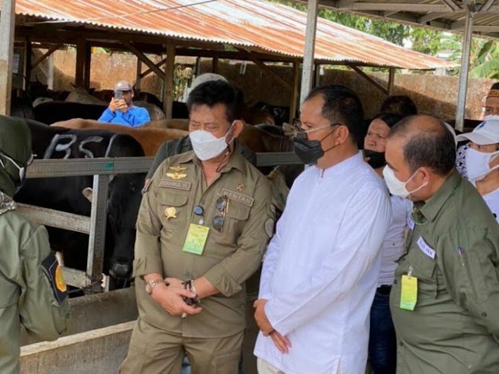 Walikota Makassar Dampingi Mentan RI SYL, Cek Ketersediaan Hewan Qurban Sapi 