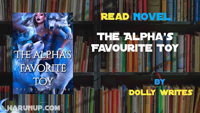 Read The Alpha's Favourite Toy Novel Full Episode