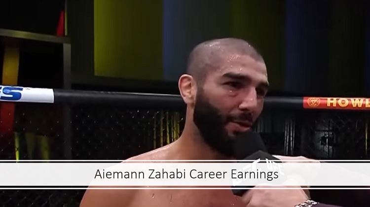 Aiemann Zahabi Career Earnings
