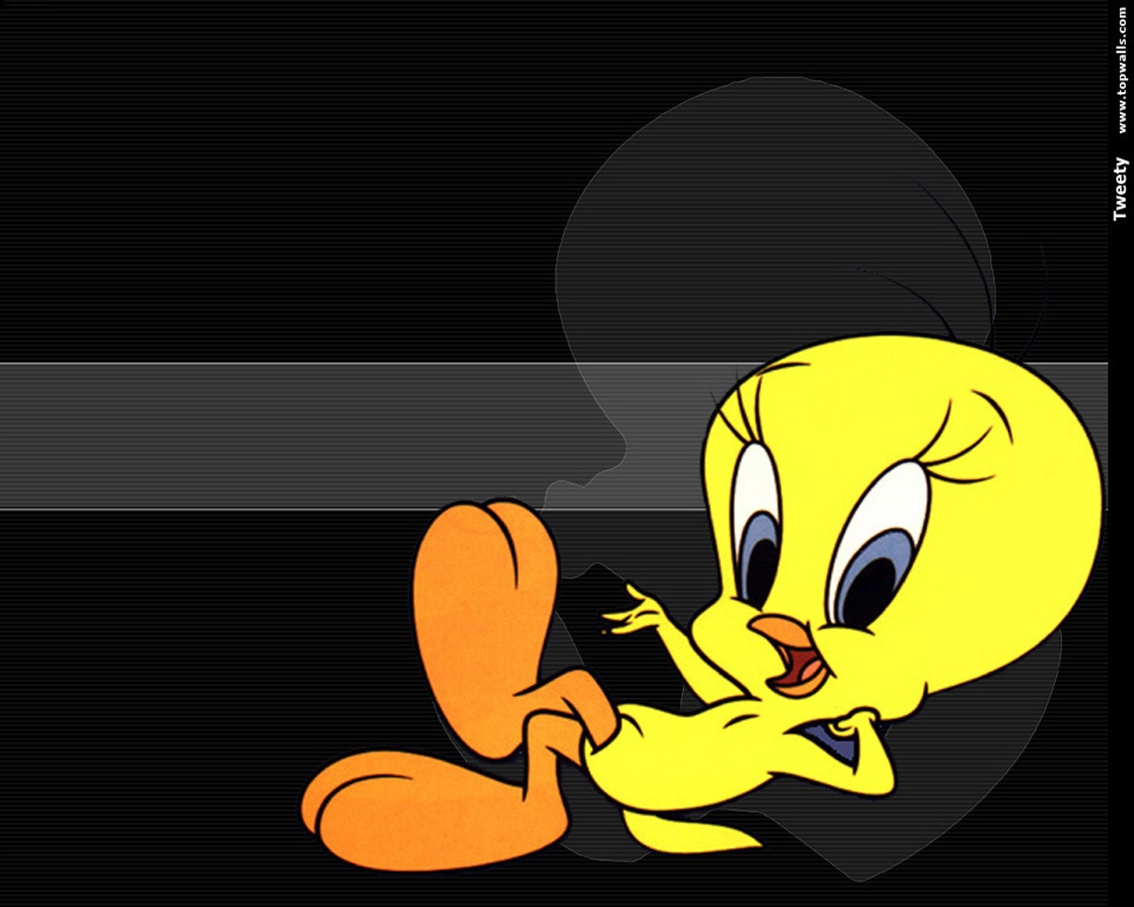 Tweety Bird Wallpaper Tweety Bird Wallpaper
