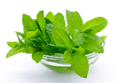 Mint Health Benefits