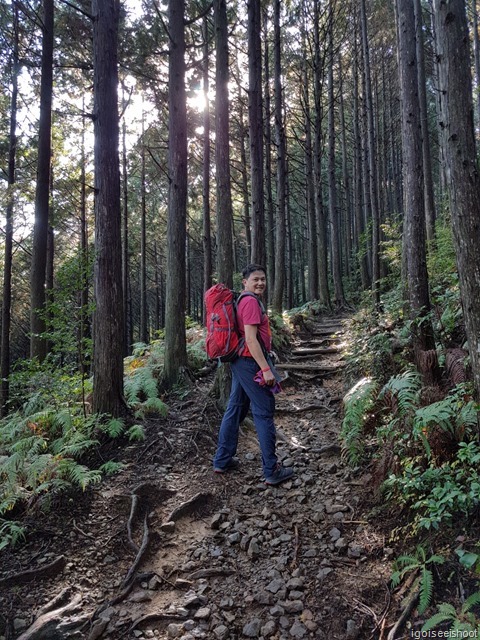  Kumano Kodo,  Japan