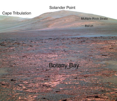 Martian clay contains chemical implicated in the origin of life