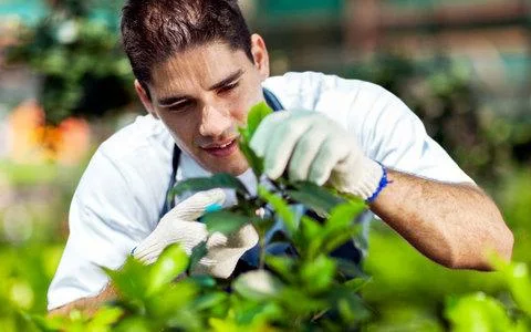 Συσκευαστήριο στο Άργος αναζητά Γεωπόνο