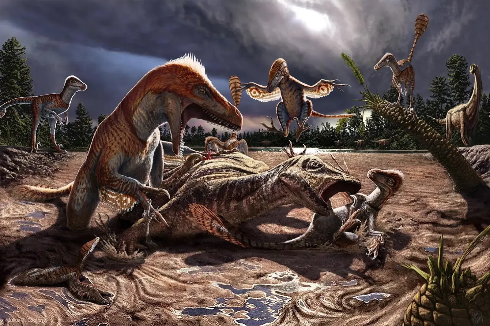 Worlds Largest Raptor Dinosaurs Lived 10 Million Years Earlier Than Thought