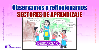 Observamos y reflexionamos SECTORES DE APRENDIZAJE 