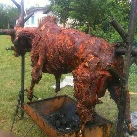 THE ROASTED COW STORY