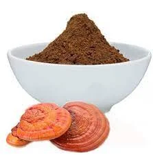 Ganoderma Mushroom Extract Supplier In America