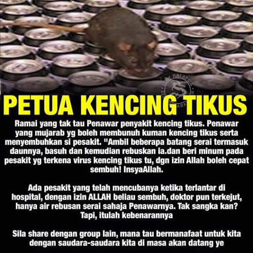 AZUERIENA NORASH: PENAWAR PENYAKIT VIRUS KENCING TIKUS 