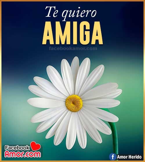 frases para amiga whatsapp