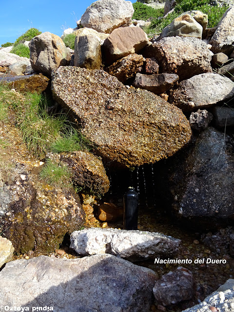 Cogiendo agua en el Nacimiento del río Duero.