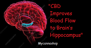 CBD and Blood Pressure