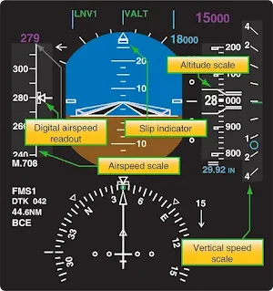 Aircraft Electronic Flight Information Systems