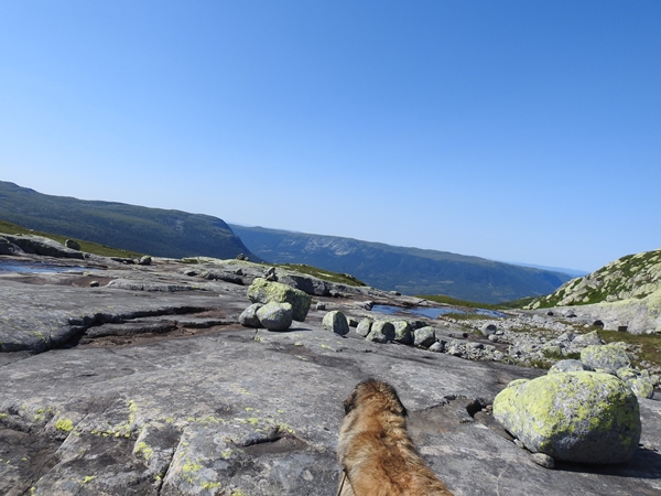 steinhyttevatnbekken