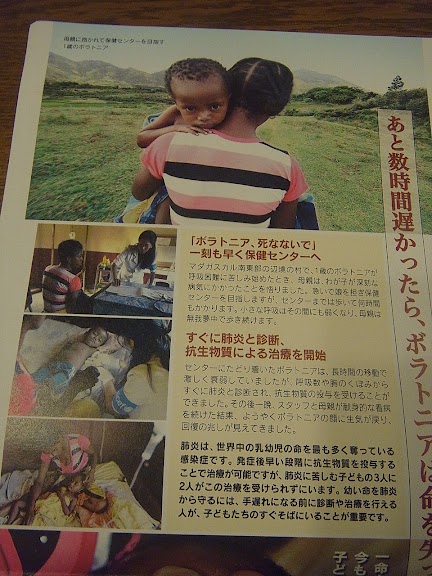 写真: 