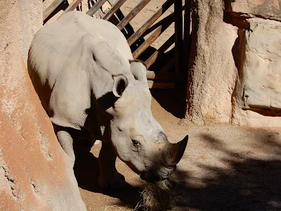 BIOPARC Valenciaのサイ