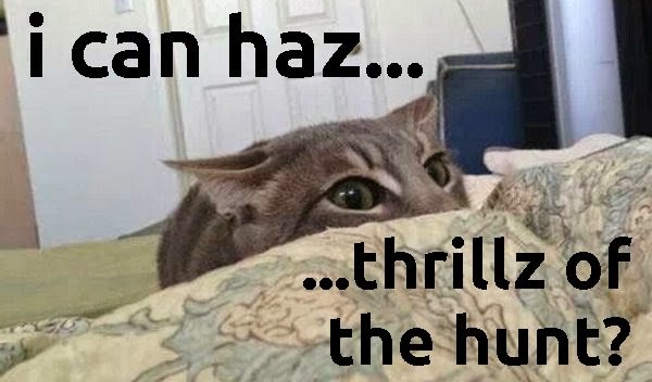 thrill of the hunt cat meme