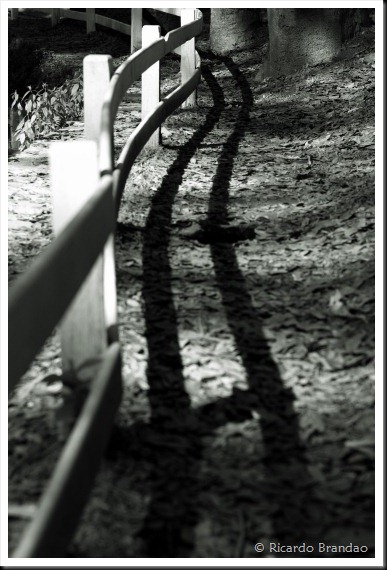 bw103