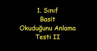 1. Sınıf,Türkçe, Basit, Okuduğunu Anlama Testi II