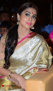 Actress Shriya Saran New Images in Silk Saree at Gautamiputra Satakarni Audio Launch  0026.jpg