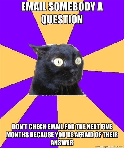 anxiety cat email