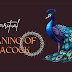 Spiritual Meaning of Peacock